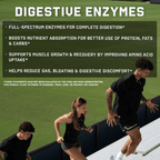 Digestive Enzymes