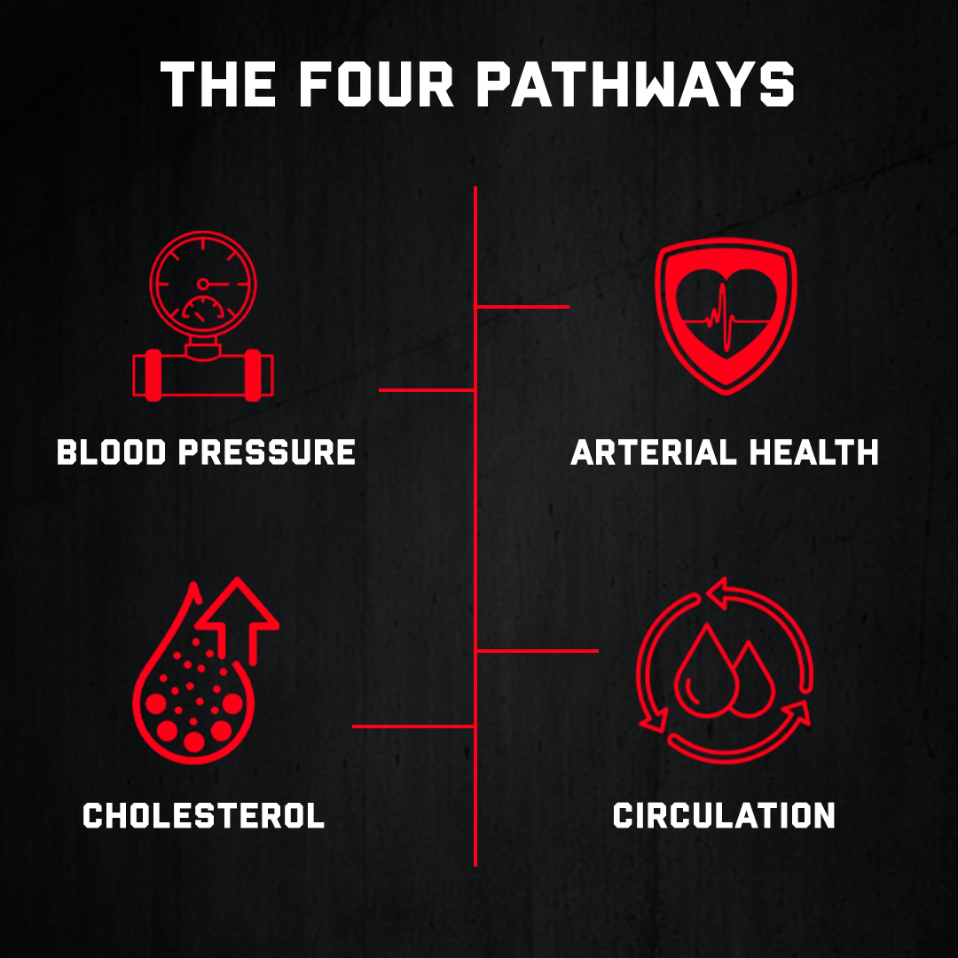 Cardiovascular Support