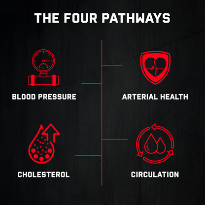 Cardiovascular Support