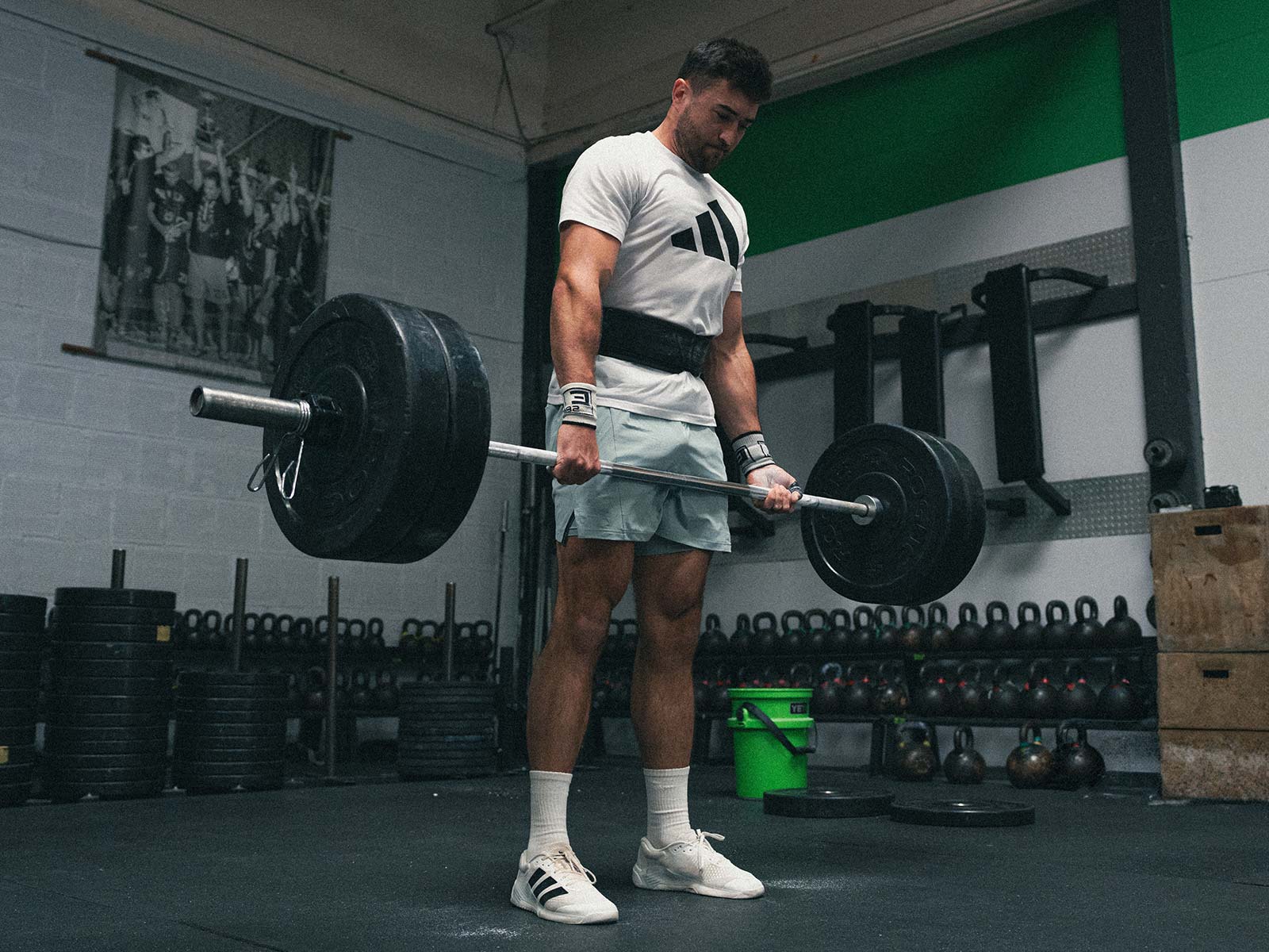 Testosterone Optimization